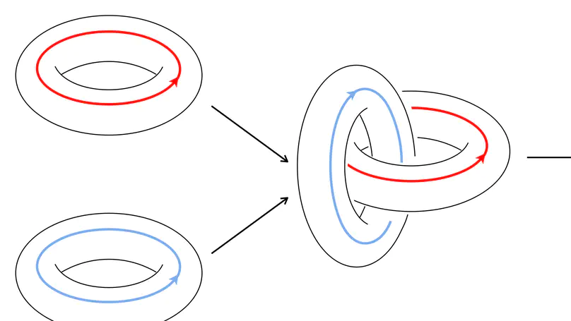 Topological order on a torus